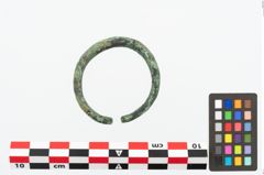 Foto von Bronzearmreif (NHMW-PRAE-026617)